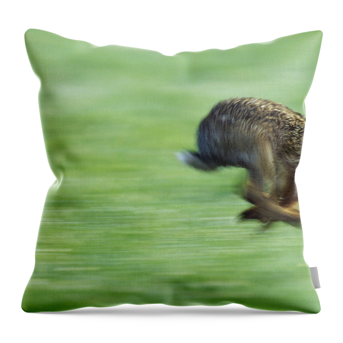 Mp Throw Pillow featuring the photograph European Hare Lepus Europaeus Running by Konrad Wothe
