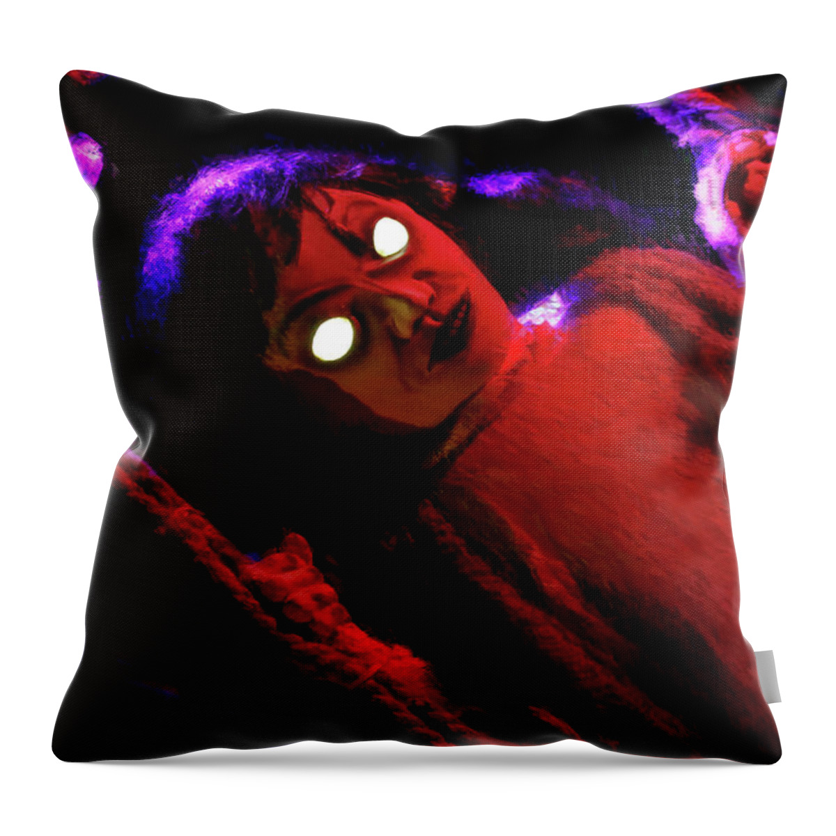  Throw Pillow featuring the photograph Eval On A Swing by Blake Richards