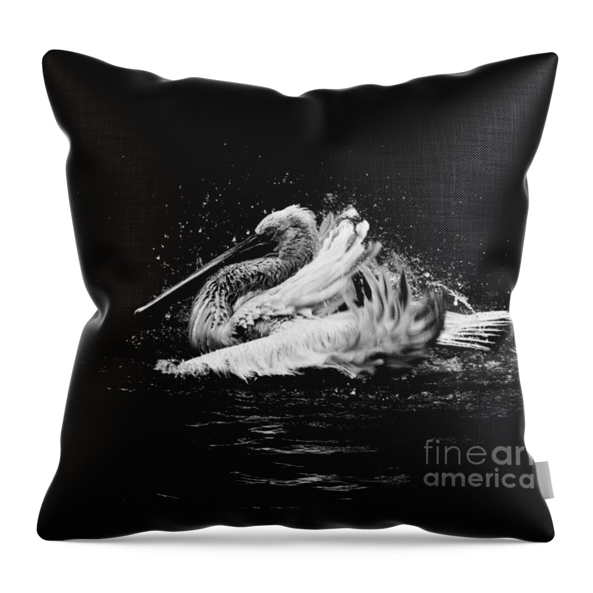 Pelican Throw Pillow featuring the photograph Evening bath by Venetta Archer