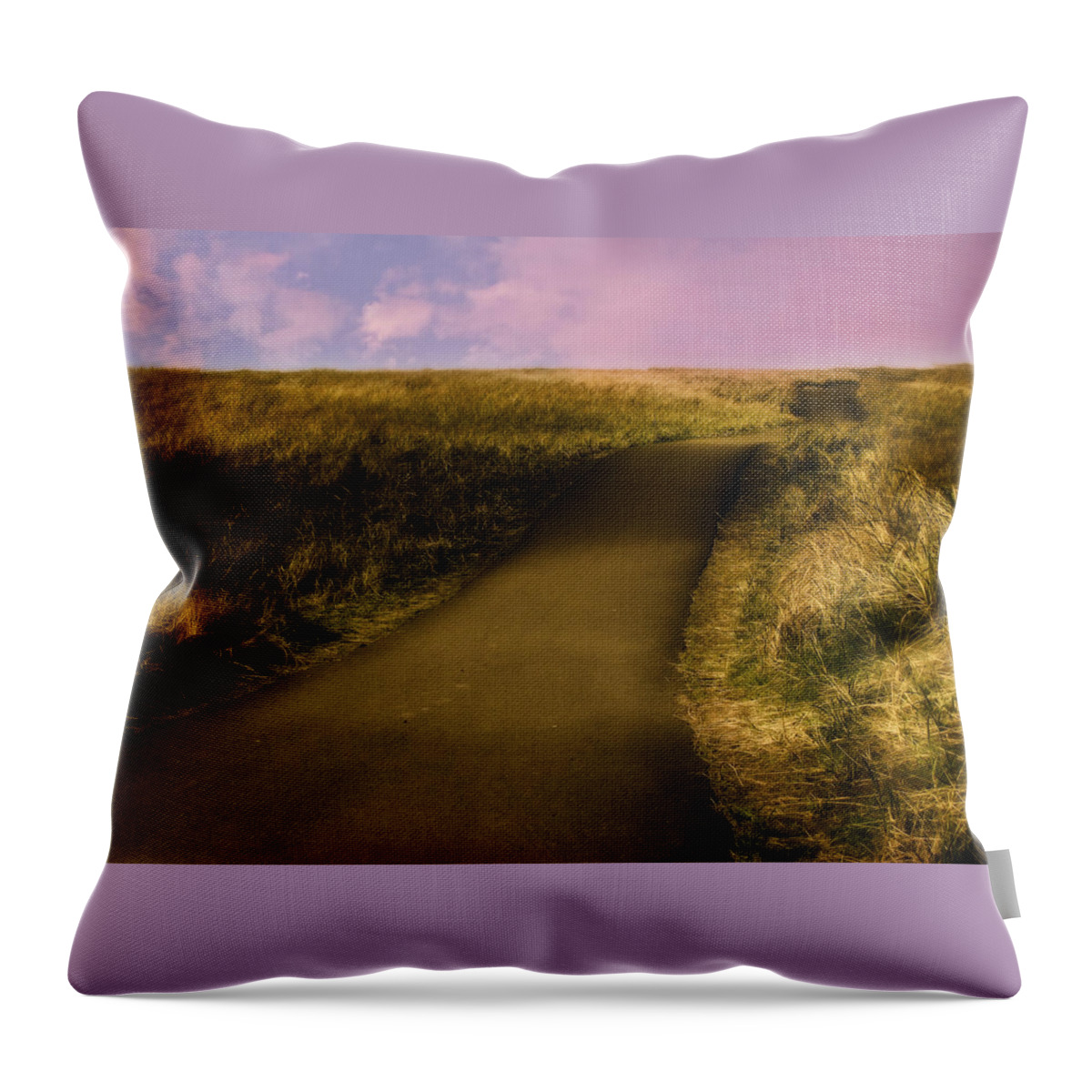 Nature Throw Pillow featuring the photograph Evening Bike Trail by KATIE Vigil