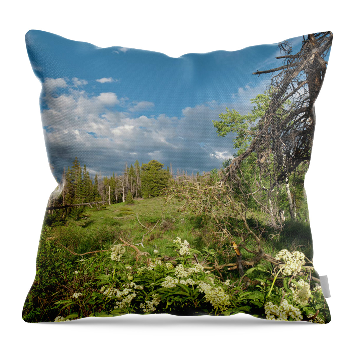 Ute Peak Throw Pillow featuring the photograph Evening Landscape on the Slopes of Ute Peak by Cascade Colors