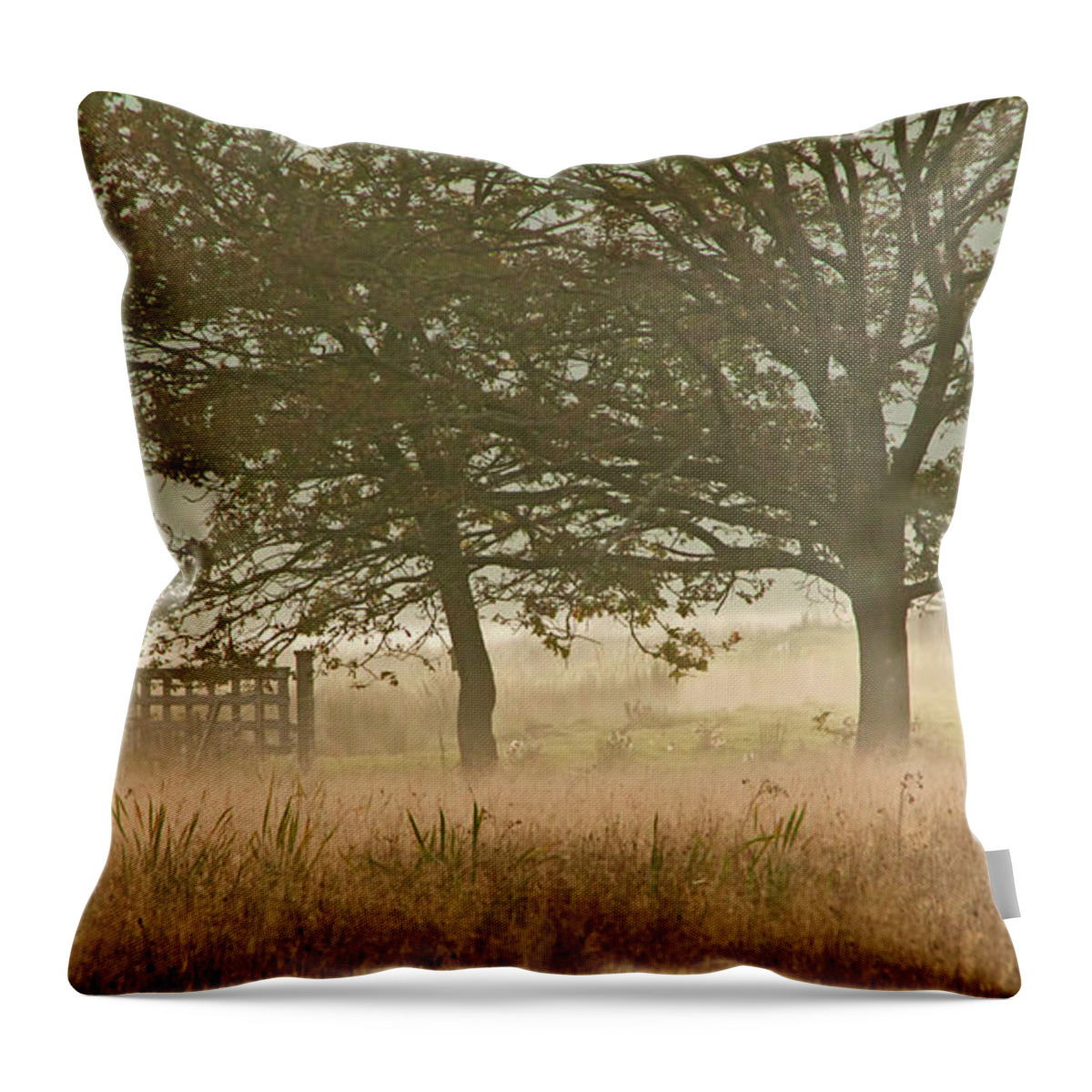 Autumn Mist Throw Pillow featuring the photograph Evening Mist - 365-192 by Inge Riis McDonald