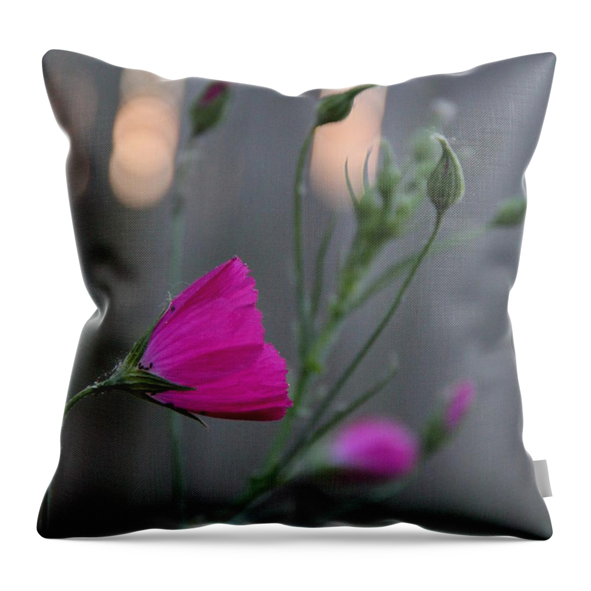 Evening Winecup Throw Pillow featuring the photograph Evening Winecup by Elizabeth Sullivan