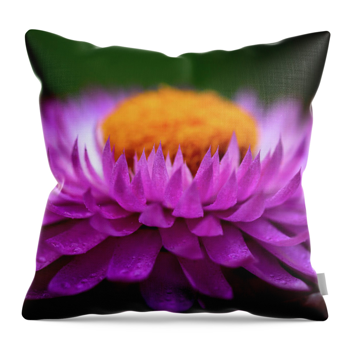 Flower Throw Pillow featuring the photograph Everlasting by Carrie Hannigan