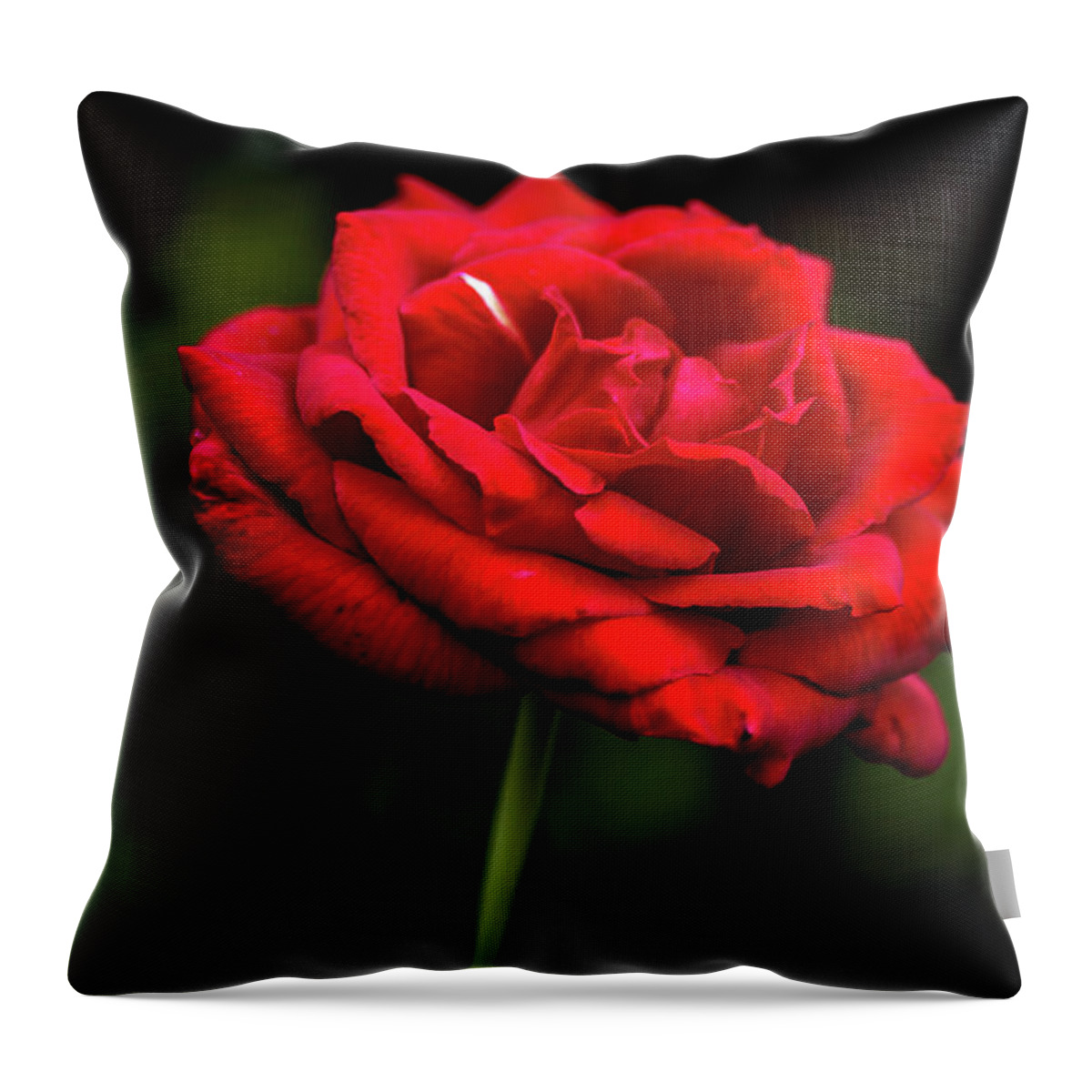 Flower Throw Pillow featuring the digital art Everlasting by Ed Stines