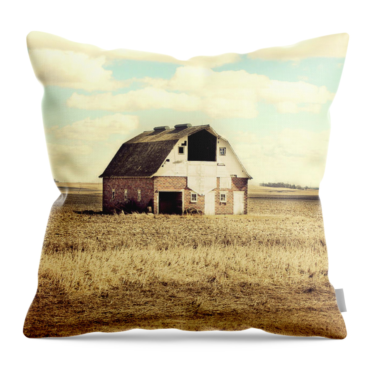 Barn Throw Pillow featuring the photograph Everly Brick Barn by Julie Hamilton