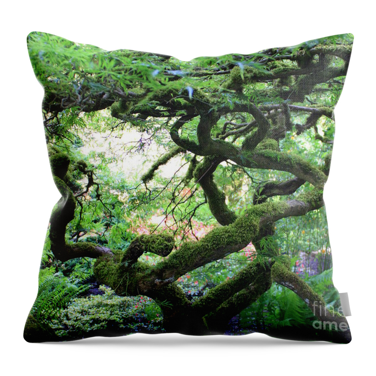 Crooked Tree Throw Pillow featuring the photograph Every Which Way by Carol Groenen