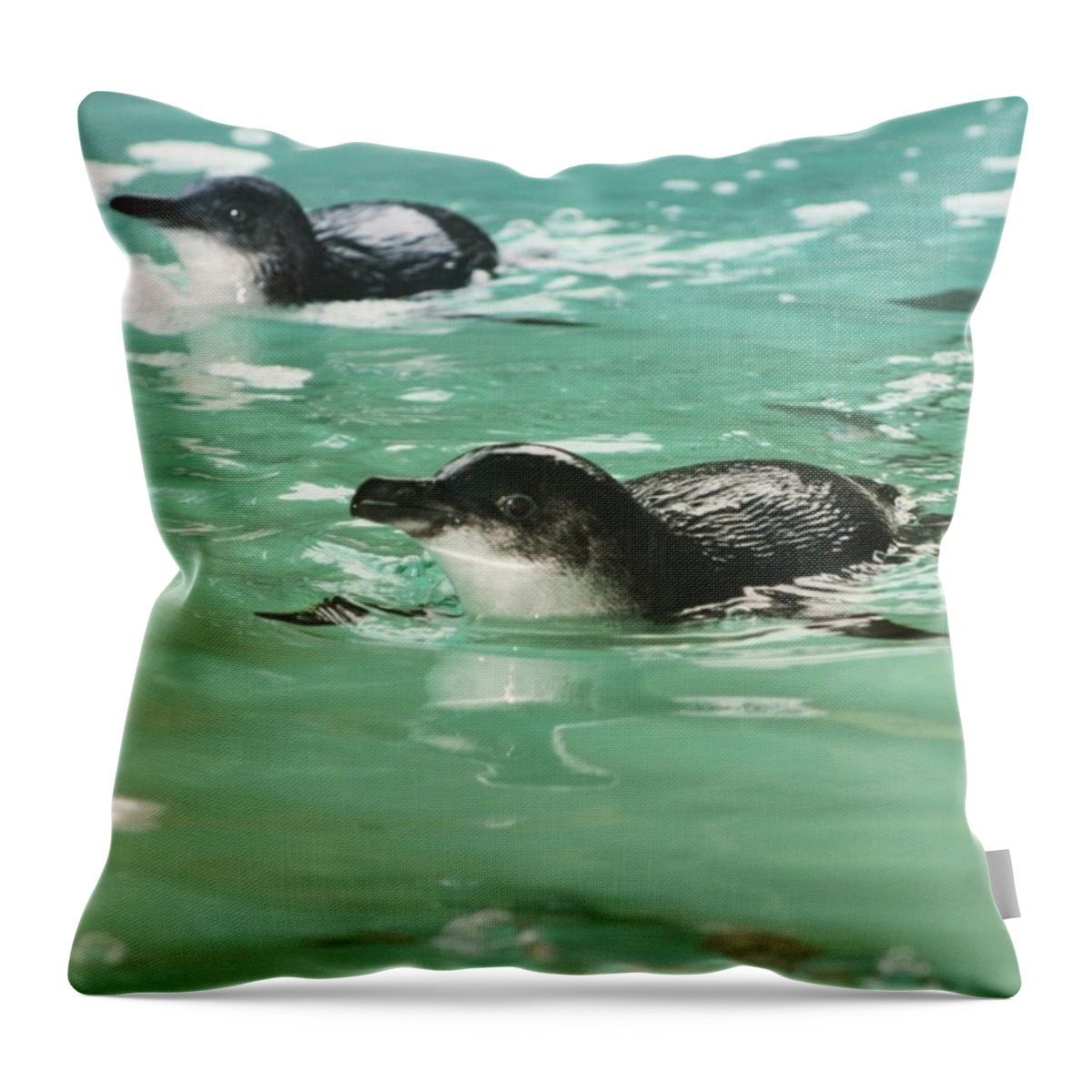 Cute Throw Pillow featuring the photograph Little Penguin by Cat Penaluna