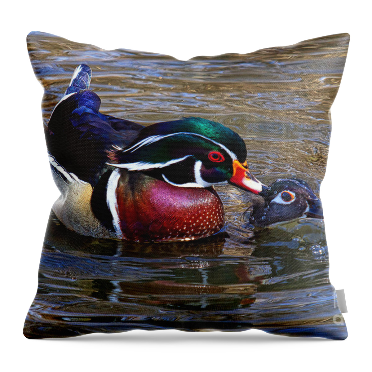 Wood Duck Throw Pillow featuring the photograph Everything's Ducky by Jim Garrison
