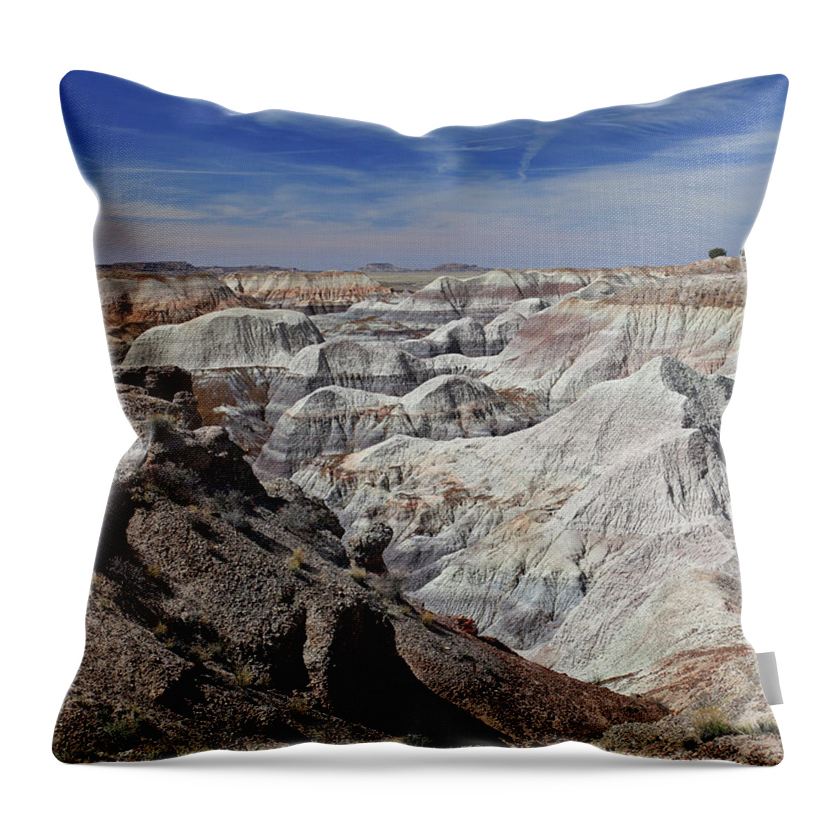 Arizona Throw Pillow featuring the photograph Evident Erosion by Gary Kaylor