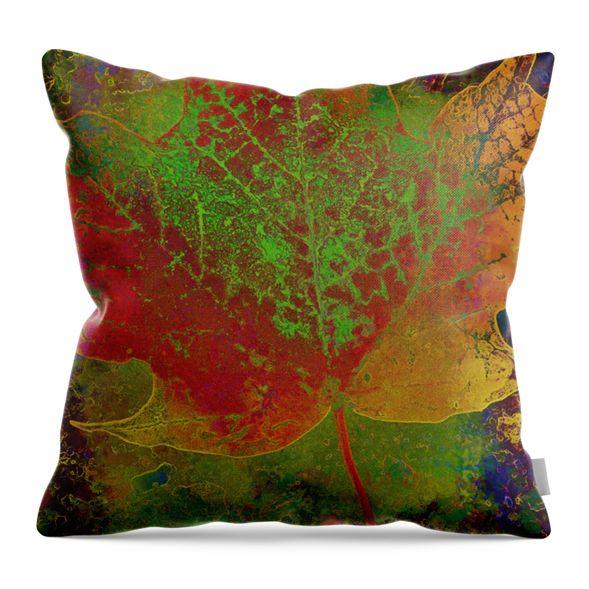 Leaf Throw Pillow featuring the photograph Evolution of Life by Deborah Benoit