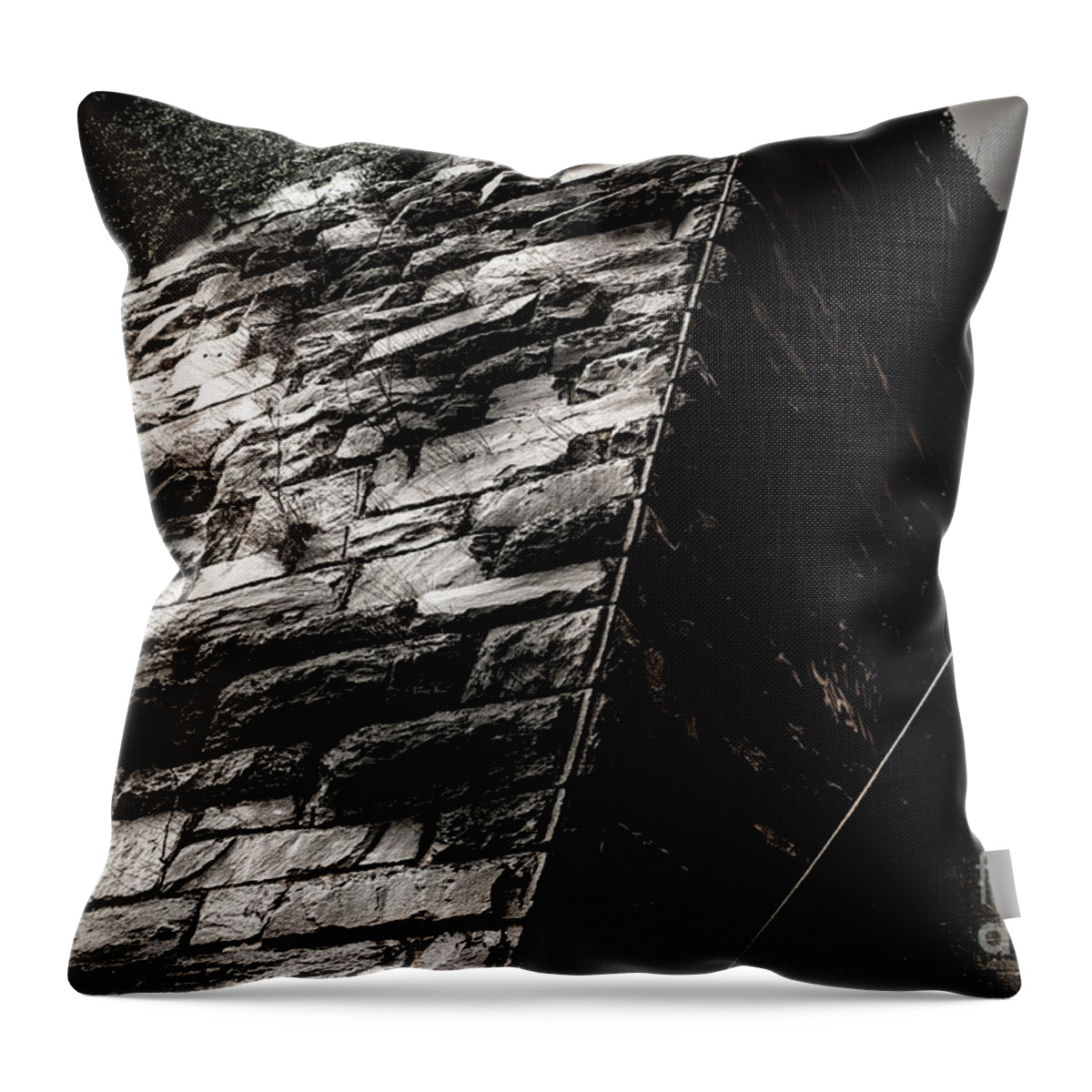 Exorcist Throw Pillow featuring the photograph Exorcist Steps by Jonas Luis