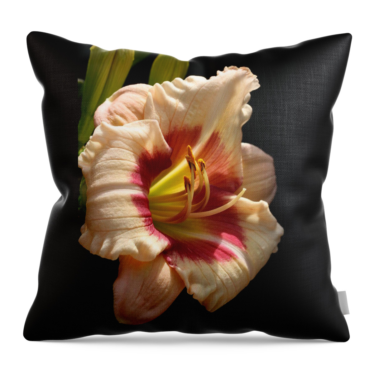 Daylilies Throw Pillow featuring the photograph Exotic Candy Daylily by Tammy Pool