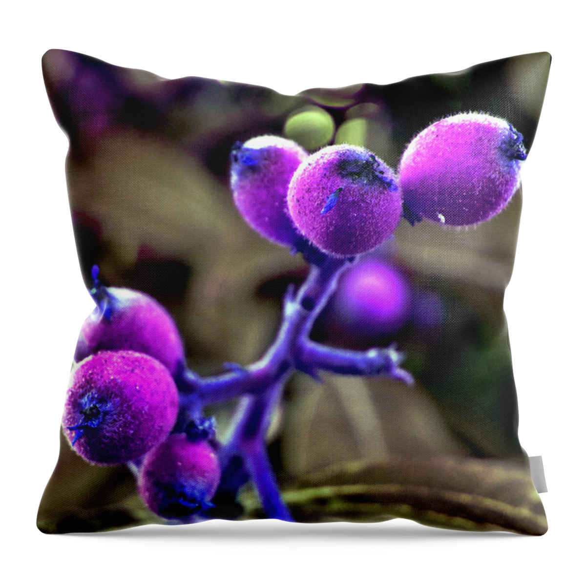 Exotic Fruits Throw Pillow featuring the photograph Exotic Purple Fruits by Silva Wischeropp