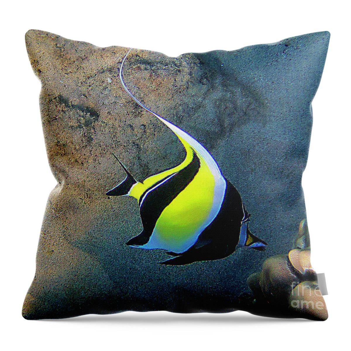 Tropical Fish Throw Pillow featuring the photograph Exotic Reef Fish by Bette Phelan
