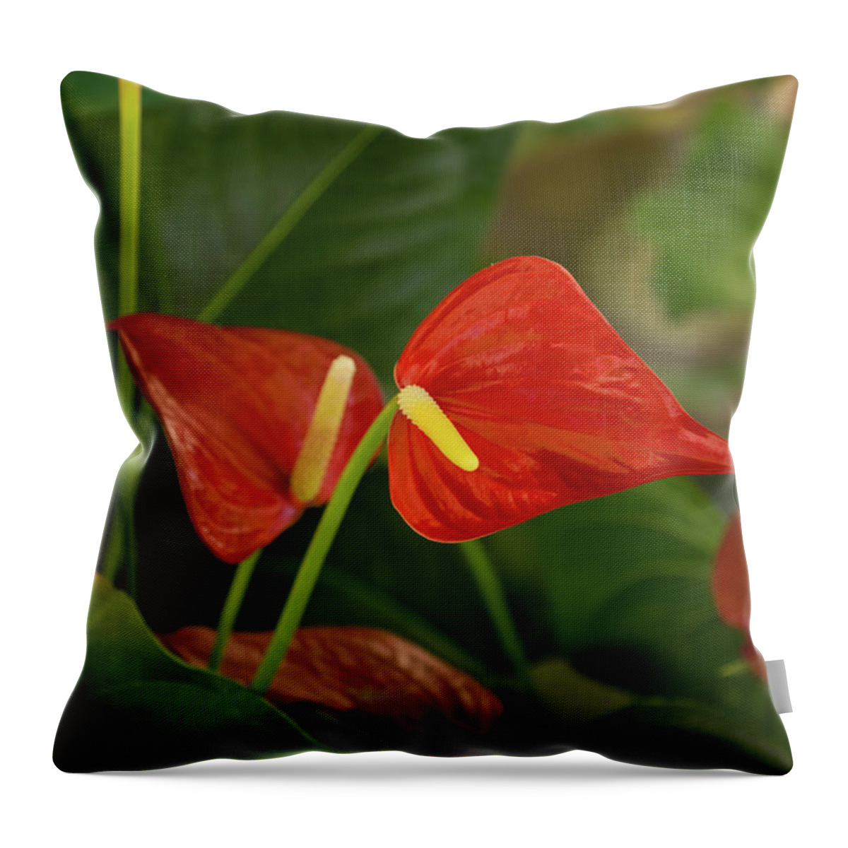 Georgia Mizuleva Throw Pillow featuring the photograph Exotic Tropical Dream Garden - Hot Red Hearts and Lush Greens by Georgia Mizuleva