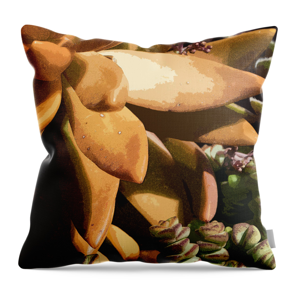 Succulant Throw Pillow featuring the photograph Exotica 7 by Jessica Levant
