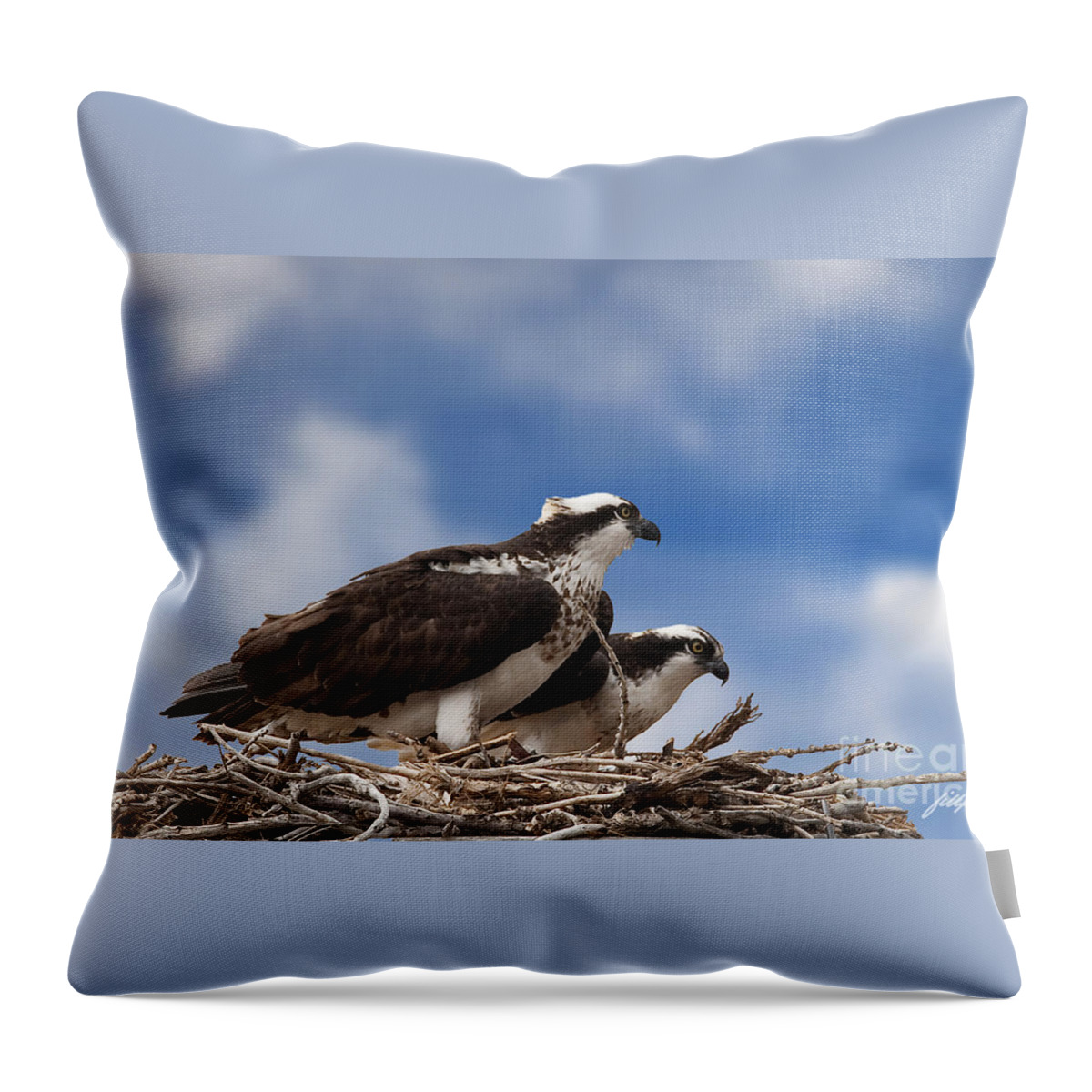 Osprey Throw Pillow featuring the photograph Expecting by Bon and Jim Fillpot