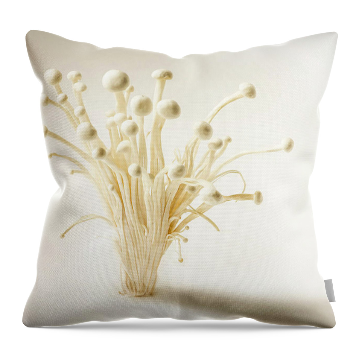 Still Life Throw Pillow featuring the photograph Explorers by Maggie Terlecki