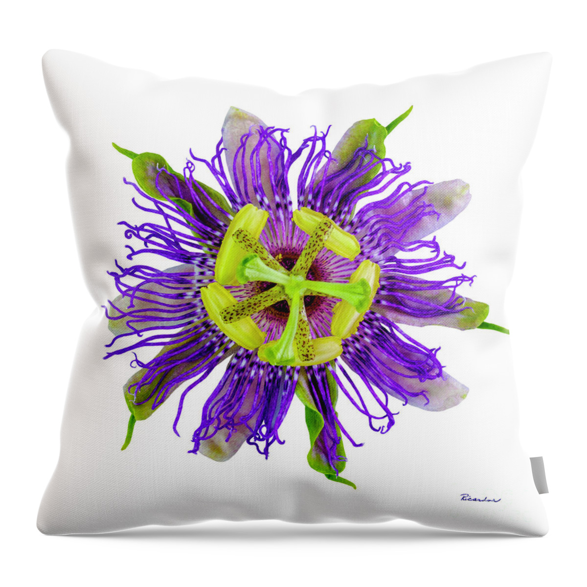 Expressive Throw Pillow featuring the photograph Expressive Yellow Green and Violet Passion Flower 50674A by Ricardos Creations