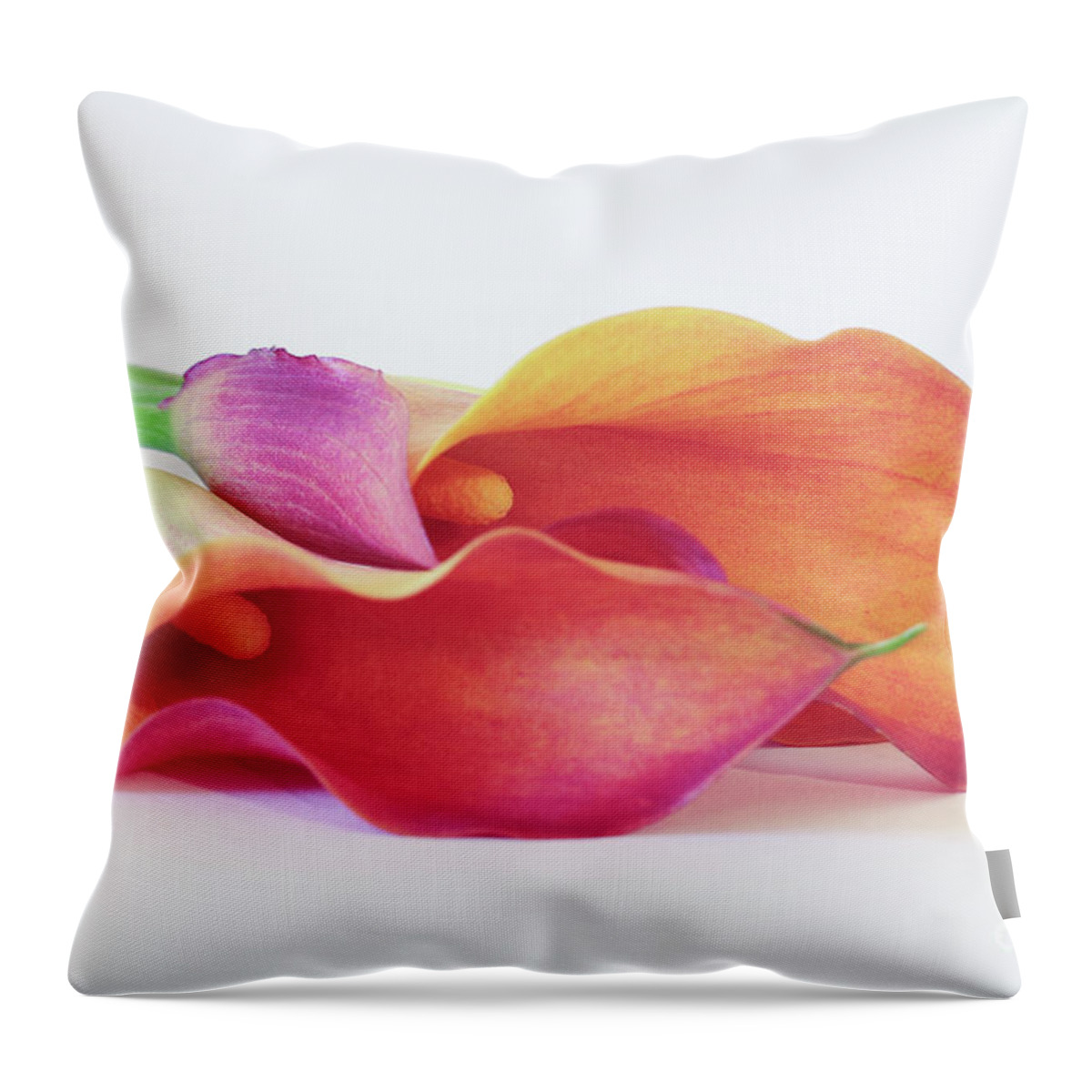 Flowers Throw Pillow featuring the photograph Exquisite by Design by Anita Oakley