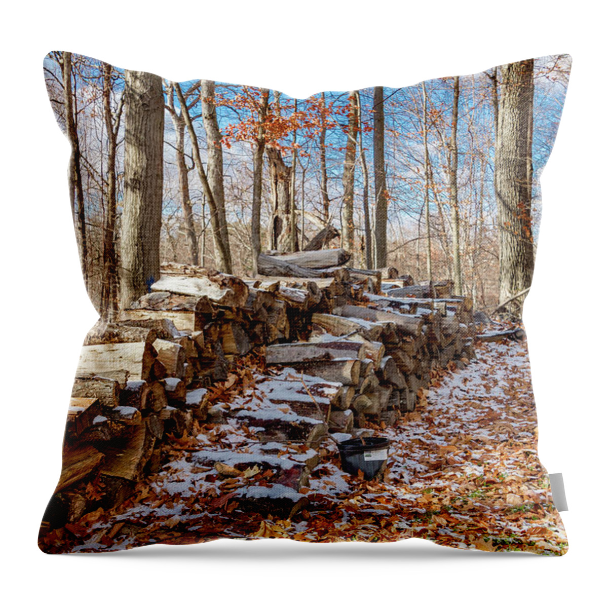 Rental Throw Pillow featuring the photograph Exterior 40 by William Norton
