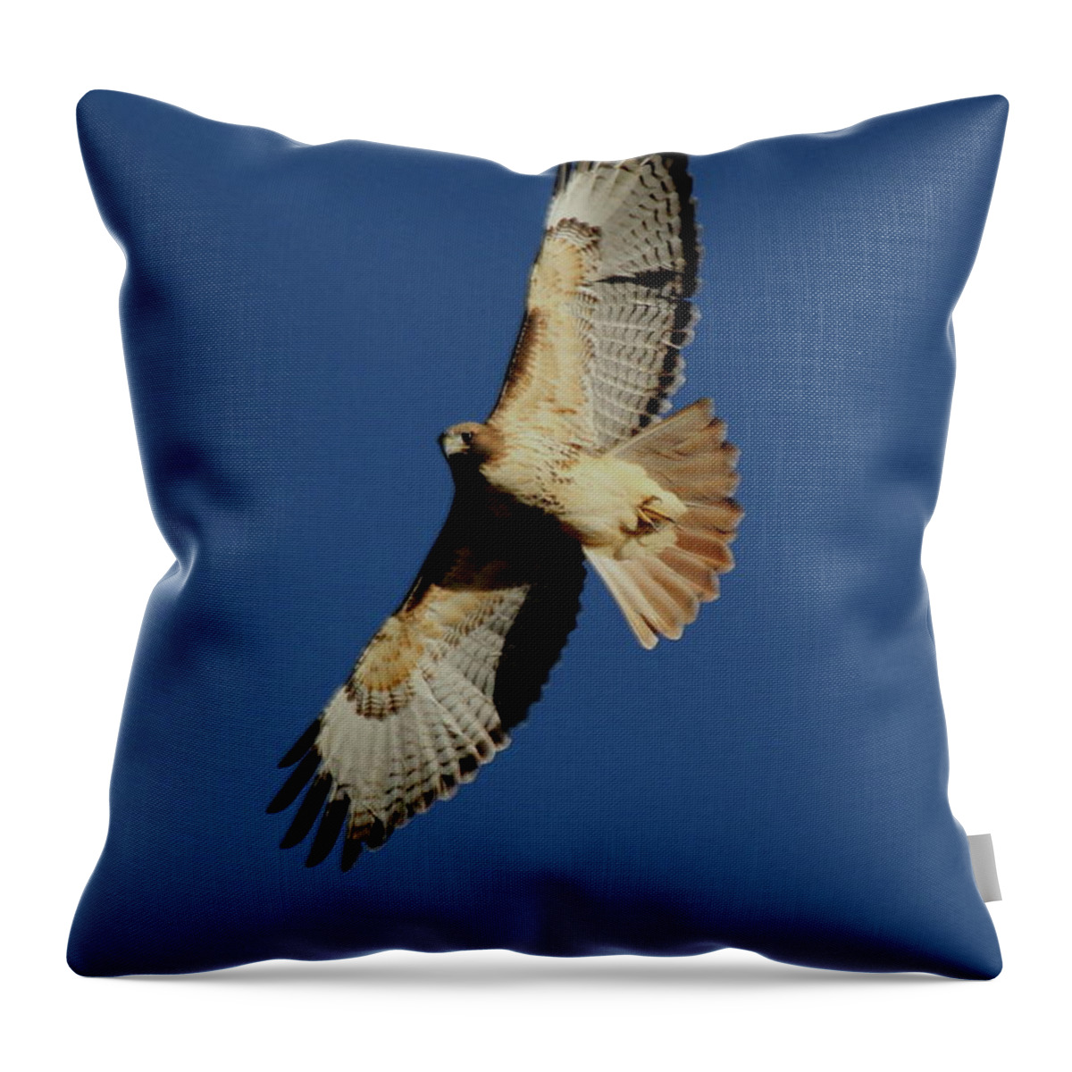 Red Throw Pillow featuring the photograph Eye Contact by Trent Mallett