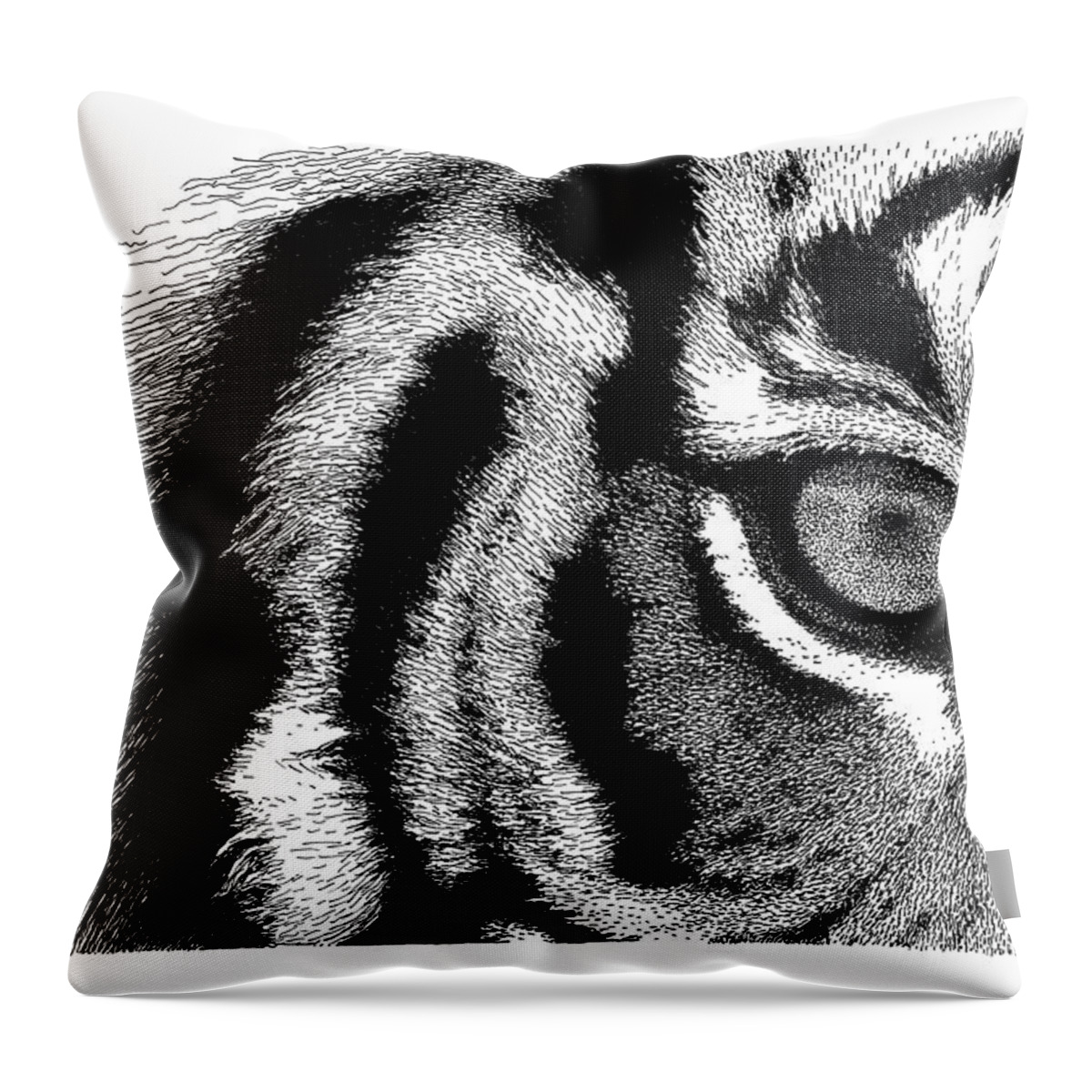 eye Of The Tiger Throw Pillow featuring the drawing Eye of the Tiger by Scott Woyak
