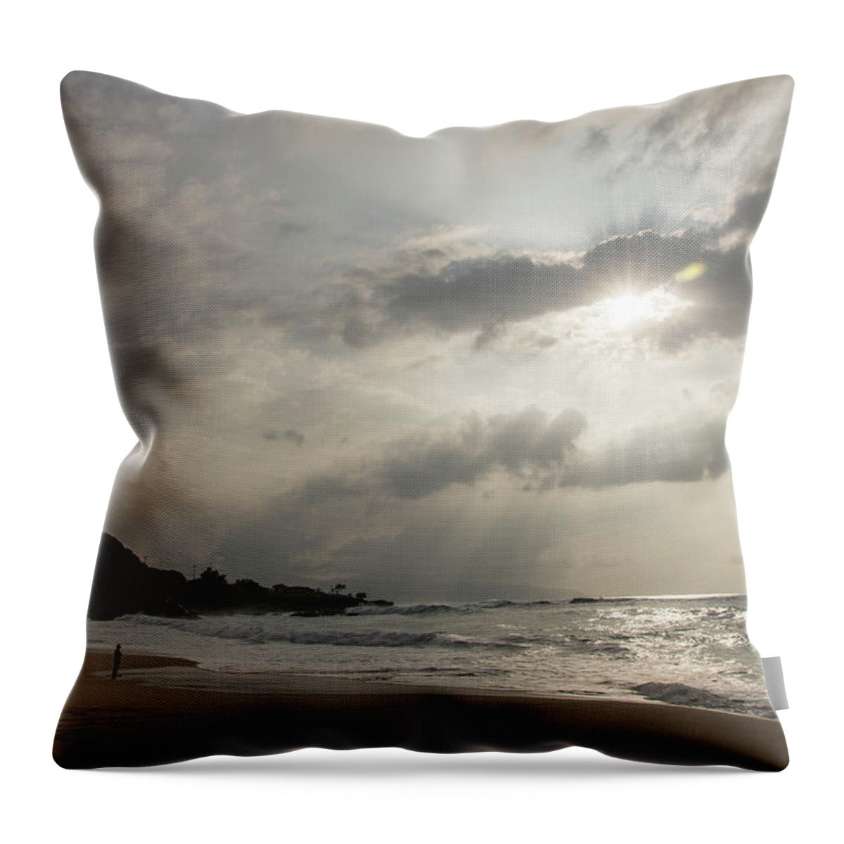 Beach Throw Pillow featuring the photograph Eye to Eye by Alex Lapidus