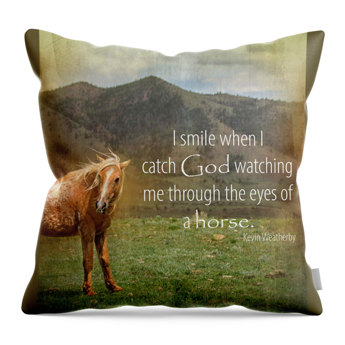 Eyes Of Horse Throw Pillow featuring the photograph Eyes of a Horse by Jolynn Reed