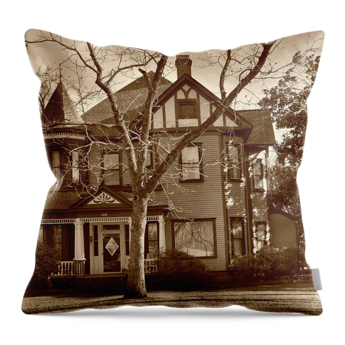 Scenic Tours Throw Pillow featuring the photograph Ezekial Etheredge House, Sc by Skip Willits