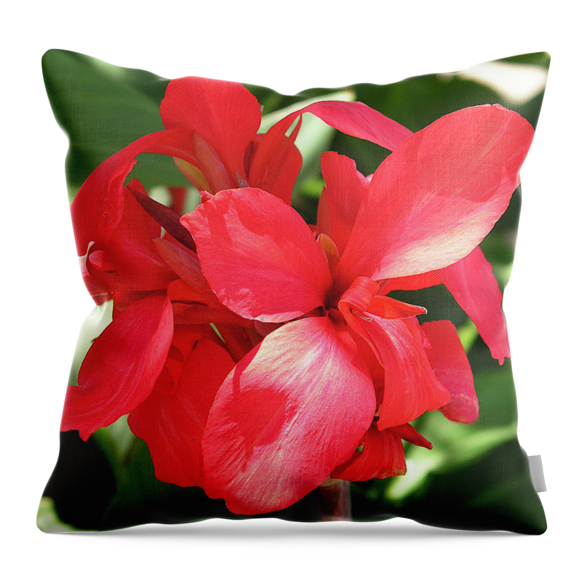 Cannas Flower Throw Pillow featuring the photograph F22 Cannas Flower by Donald K Hall