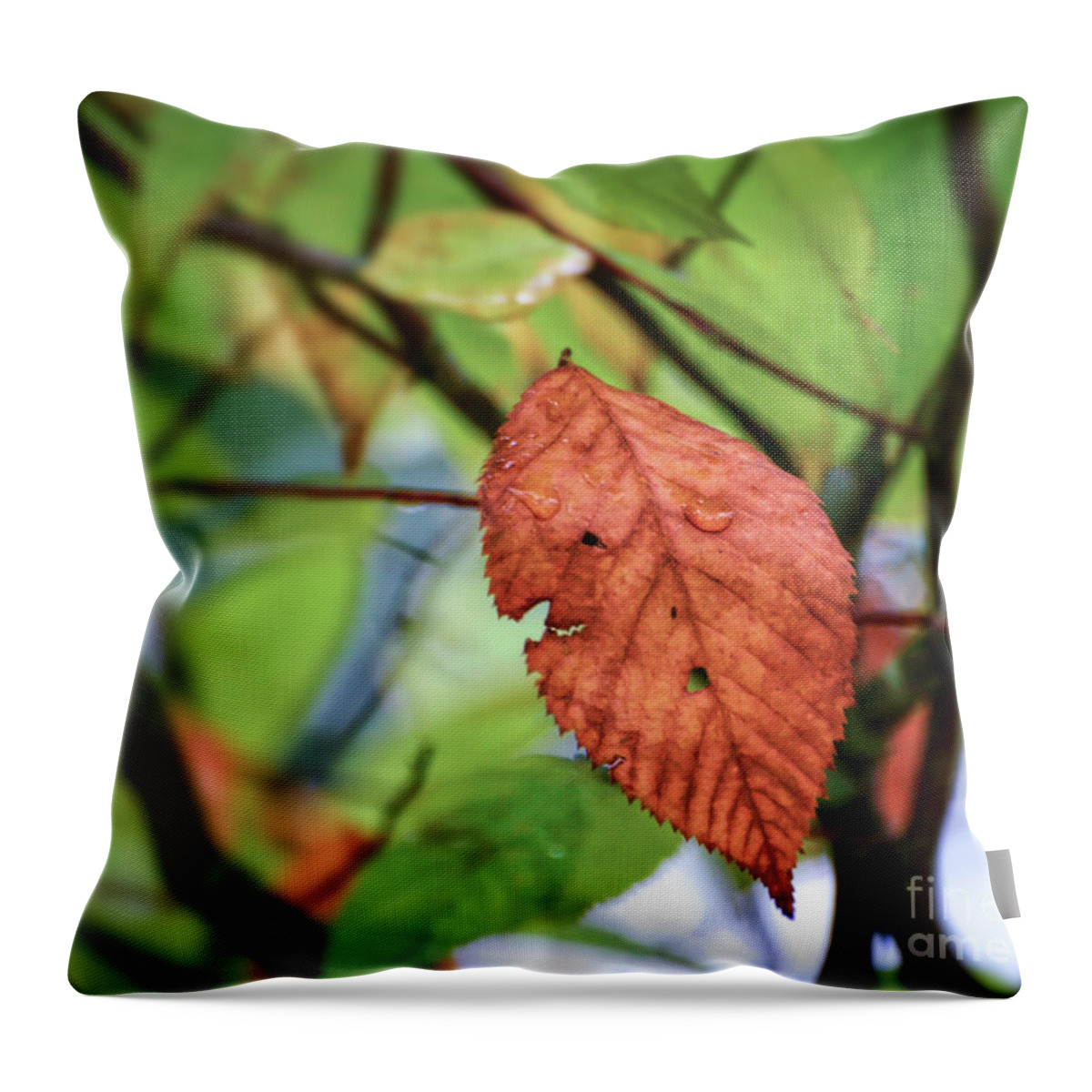 Leaf Throw Pillow featuring the photograph Faces In The Leaf by Kerri Farley