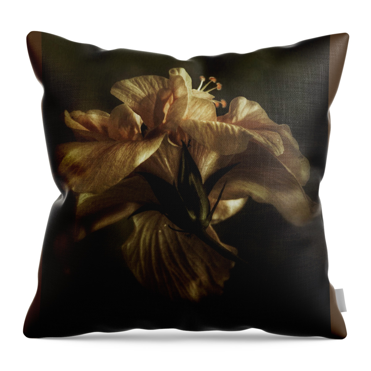 Flower Throw Pillow featuring the photograph Faded Beauty by Brenda Wilcox aka Wildeyed n Wicked