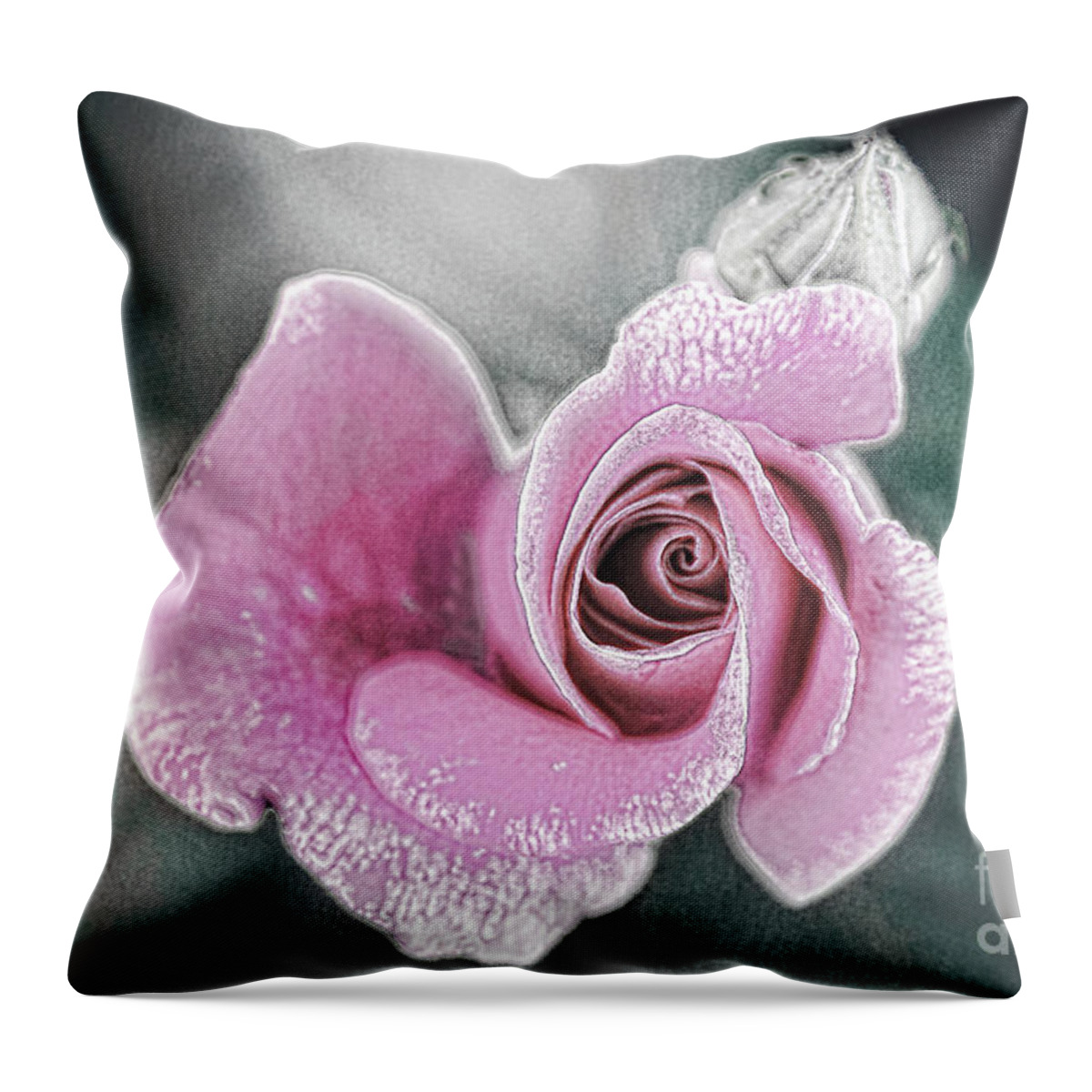 Rose Throw Pillow featuring the digital art Faded Romance by Sharon McConnell
