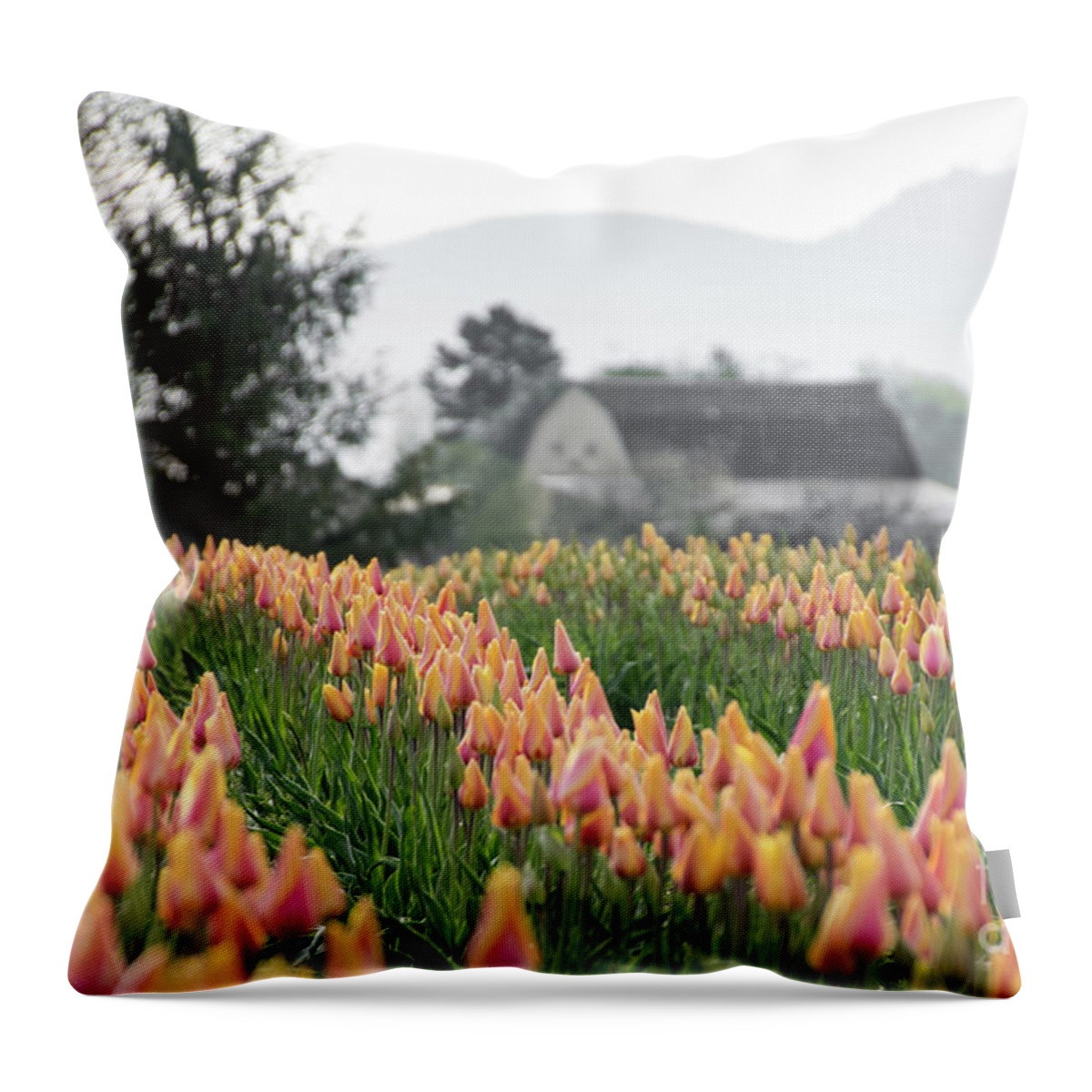 Tulip Throw Pillow featuring the photograph Faded Tulip Barn by Louise Magno