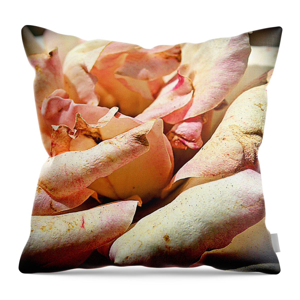 Rose Throw Pillow featuring the photograph Fading Beauty by KayeCee Spain