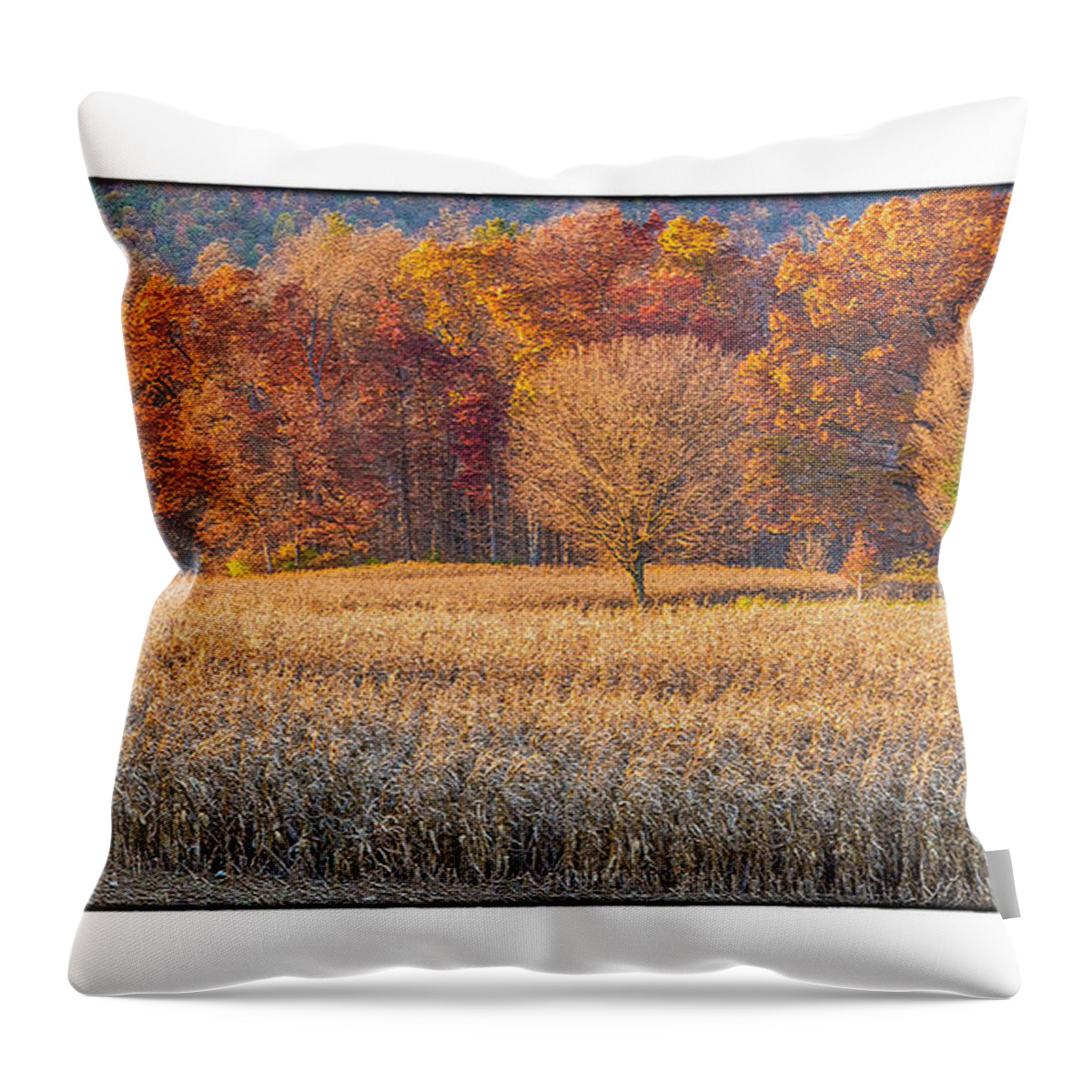 Rural Throw Pillow featuring the photograph Fading Fall by R Thomas Berner