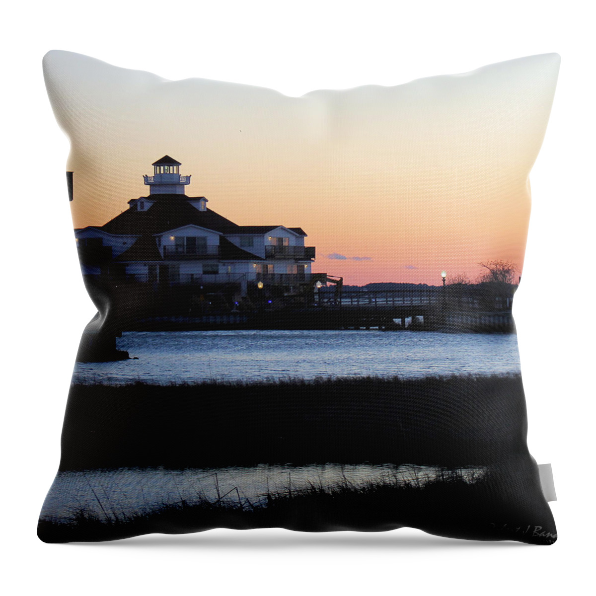 Buiding Throw Pillow featuring the photograph Fading Light of Day by Robert Banach