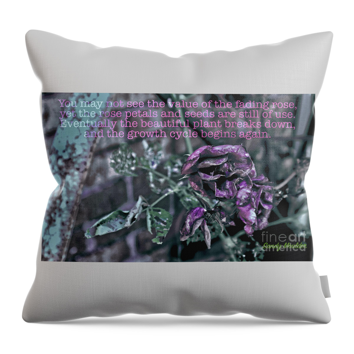 Rose Throw Pillow featuring the photograph Fading Rose by Sandy Moulder