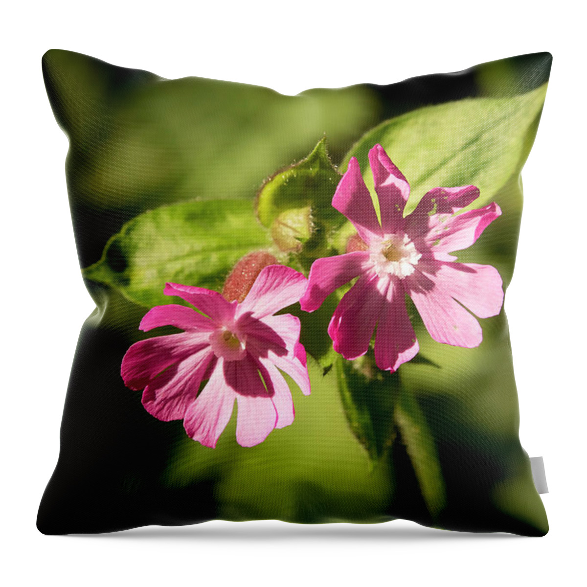 Flower Throw Pillow featuring the photograph Fairy Flowers. by Elena Perelman