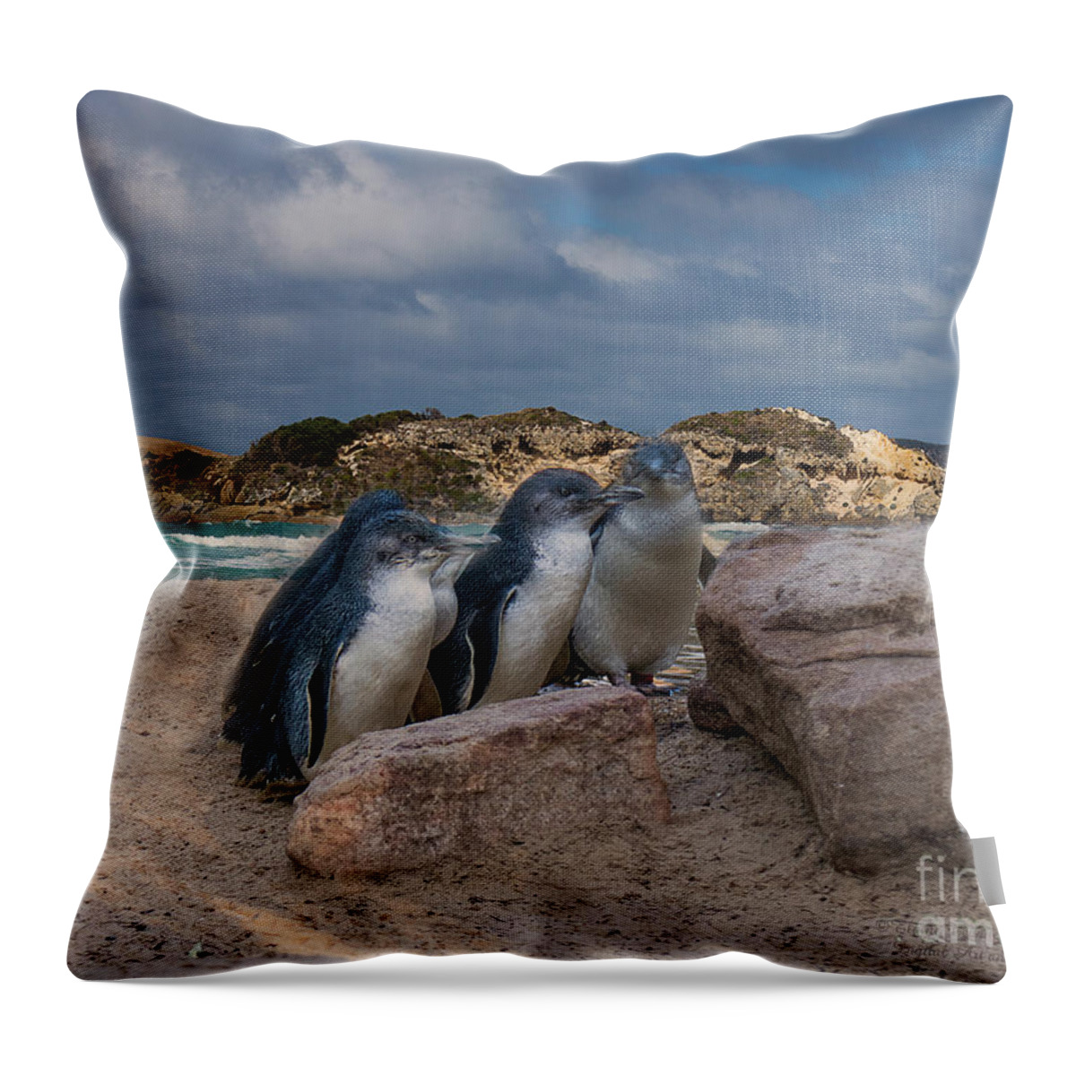 Fairy Penguins Throw Pillow featuring the photograph Fairy Penguins by Elaine Teague