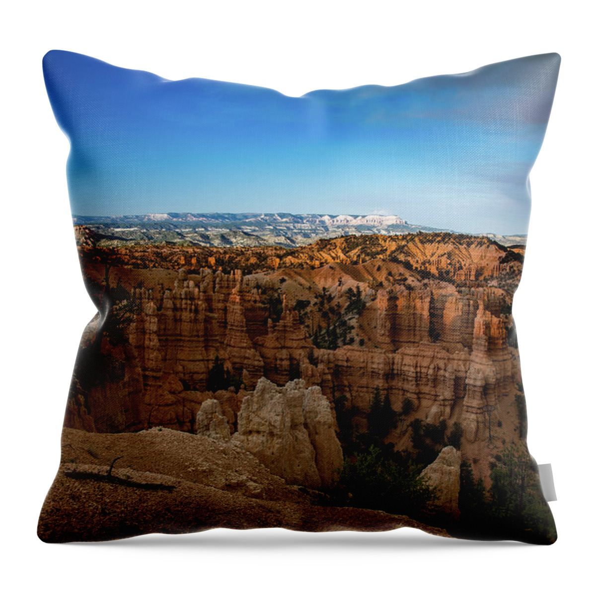Bryce Canyon Throw Pillow featuring the photograph Fairyland Point by Phil Abrams