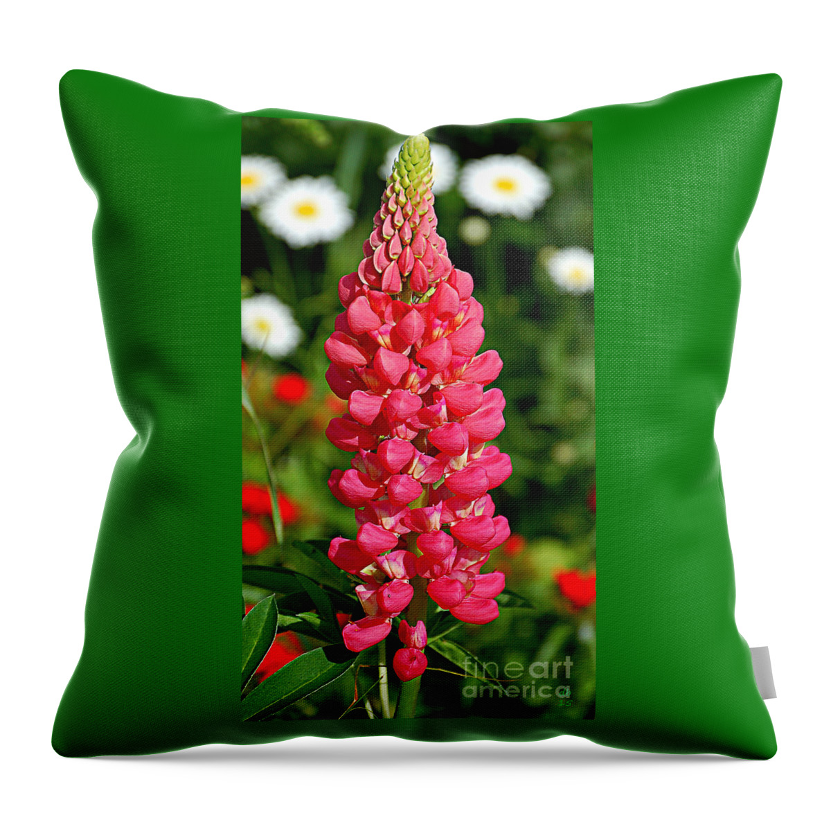 Diane Berry Throw Pillow featuring the photograph Rosy Lupine by Diane E Berry