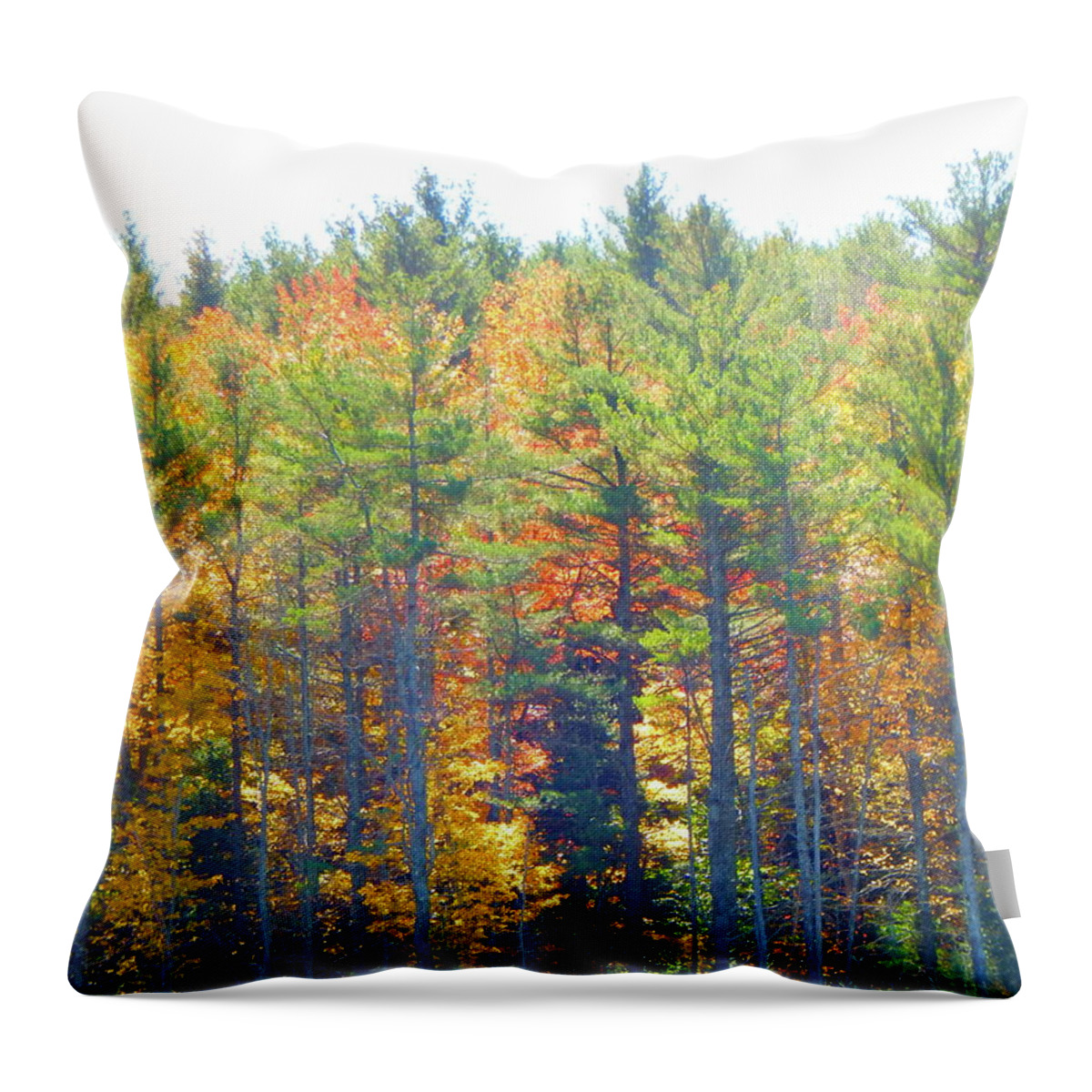 Landscape Throw Pillow featuring the photograph Fall 2016 106 by George Ramos