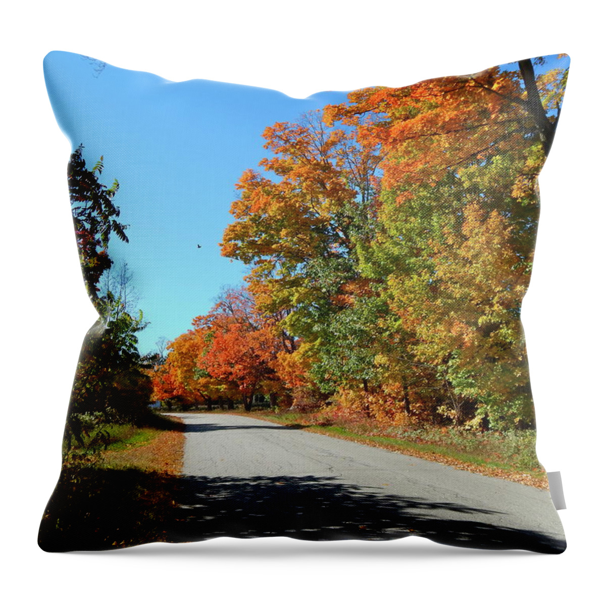 Landscape Throw Pillow featuring the photograph Fall 2016 12 by George Ramos