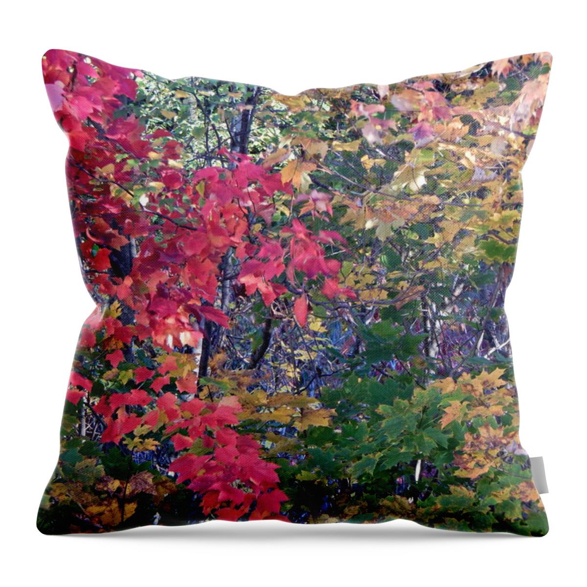 Landscape Throw Pillow featuring the photograph Fall 2016 3 by George Ramos