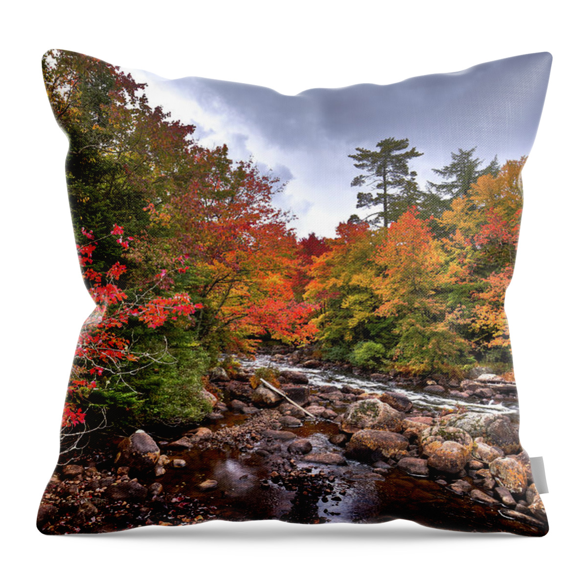 Landscapes Throw Pillow featuring the photograph Fall at Indian Rapids by David Patterson