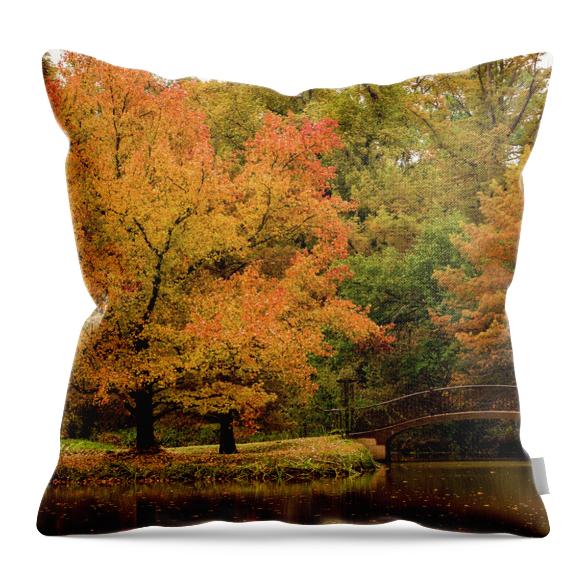 Jay Stockhaus Throw Pillow featuring the photograph Fall at the Arboretum by Jay Stockhaus