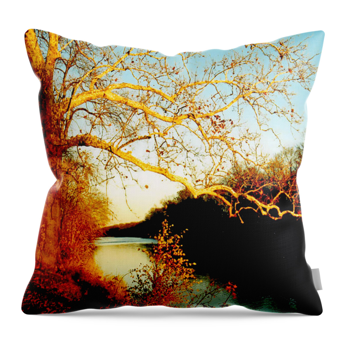 River Throw Pillow featuring the photograph Fall at the Raritan River in New Jersey by Alexandra Till
